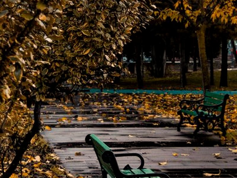 特殊禮物